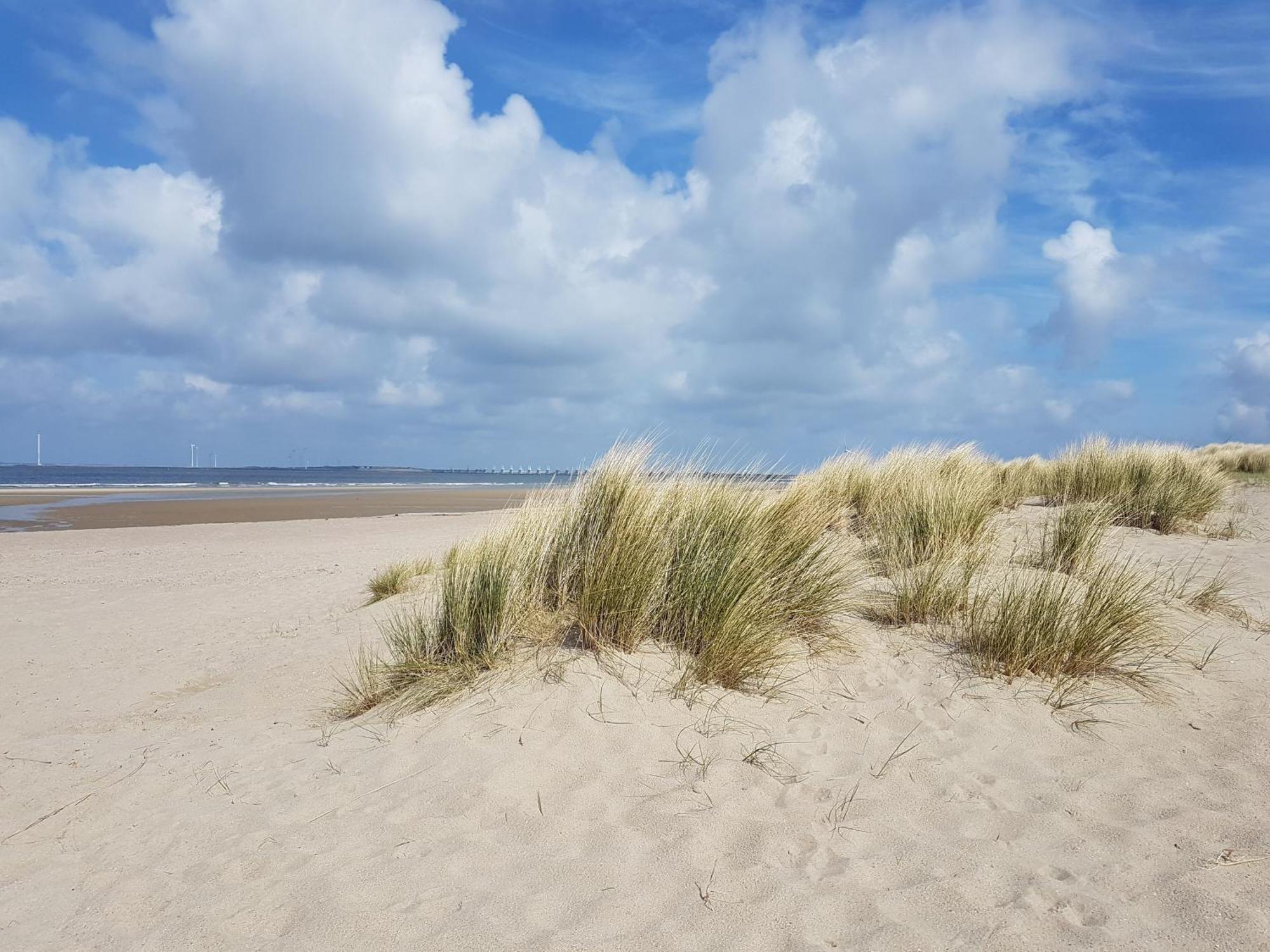 Olmenduin Chalet Veere Zeeland ซีรอสแกร์เกอ ภายนอก รูปภาพ